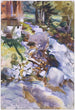Ruisseau impétueux - John Singer Sargent — vy av konstverket