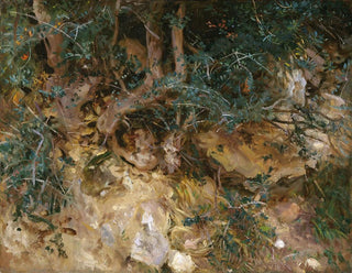 Chardons och örter på en kulle i Valldemossa, Mallorca - John Singer Sargent — vy av konstverket