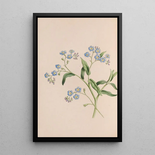 John Stevens Henslow - Grass.webp