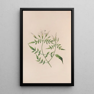 John Stevens Henslow - Strawberry Tree.webp