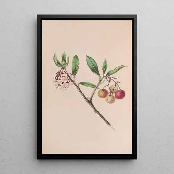 John Stevens Henslow - Yew.webp