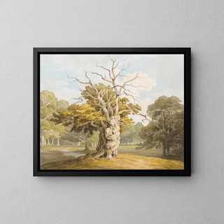 John White Abbott - An Oak At Kedleston Hall Derbyshire.webp