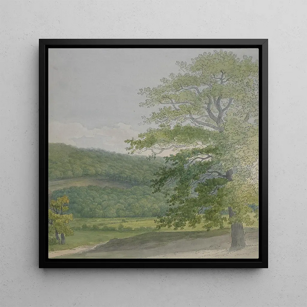 John White Abbott - Wooded landscape.webp