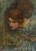 Studie för Venus huvud i Vakningen av Adonis - John William Waterhouse — vy av konstverket
