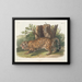 Jaguar hona - John Woodhouse Audubon — inramlat konstverk på väggen