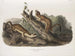 Fouine à collerette, mâles, taille naturelle - John Woodhouse Audubon — vy av konstverket