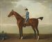 Lady O'Brien-hästen ridande av en jockey - John Wootton — vy av konstverket