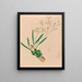 Iconographie des orchidées du Brésil Pl10 - João Barbosa Rodrigues — inramlat konstverk på väggen