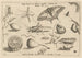 Archetypa studiaque patris Georgii Hoefnagelii Pl04 - Joris Hoefnagel — vy av konstverket