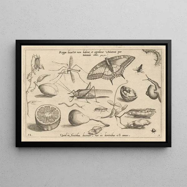 Joris Hoefnagel - Archetypa studiaque patris Georgii Hoefnagelii Pl04.webp