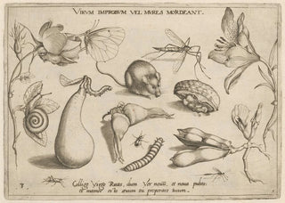 Joris Hoefnagel - Archetypa studiaque patris Georgii Hoefnagelii Pl06.webp