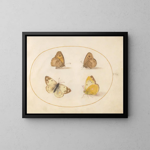 Plaque 09 Papillons Meadow Brown, Gatekeeper, Clouded Yellow och Bath White - Joris Hoefnagel — inramlat konstverk på väggen