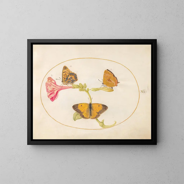 Plaque 10: Den bruna av håret, den silverfärgade fritillaria och den gula molniga fjärilen på en fyra-timmars blomma - Joris Hoefnagel — inramlat konstverk på väggen