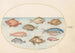 Planche 18 Fisk-svin, rakfisk, smörfisk, en Saint-Pierre och andra fiskar - Joris Hoefnagel — vy av konstverket