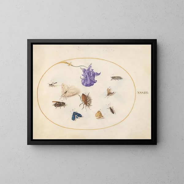 Platine 33 Nattfjäril och fjäril med andra insekter och en Columbine-blomma - Joris Hoefnagel — inramlat konstverk på väggen