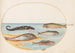 Planche 36 Cinq poissons dont une carpe - Joris Hoefnagel — vy av konstverket