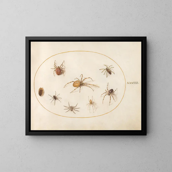 Platine 37 Sept araignées et un insecte - Joris Hoefnagel — inramlat konstverk på väggen