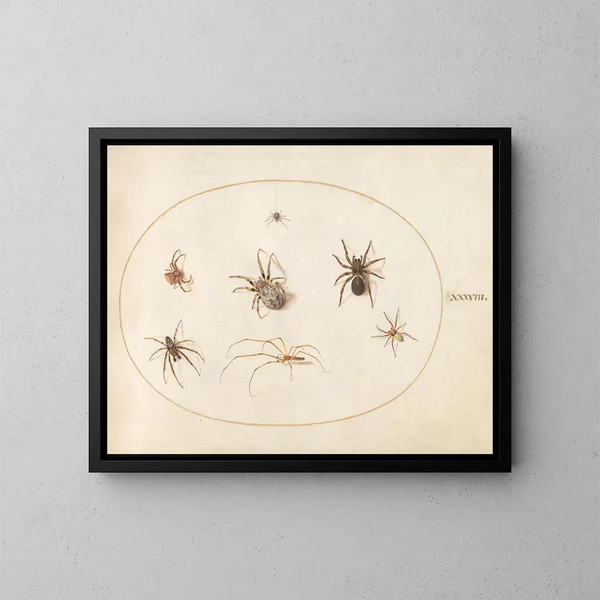 Platine 38 Sept araignées - Joris Hoefnagel — inramlat konstverk på väggen