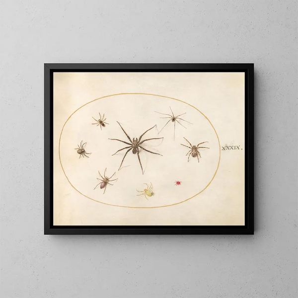 Platine 39 Huit araignées - Joris Hoefnagel — inramlat konstverk på väggen