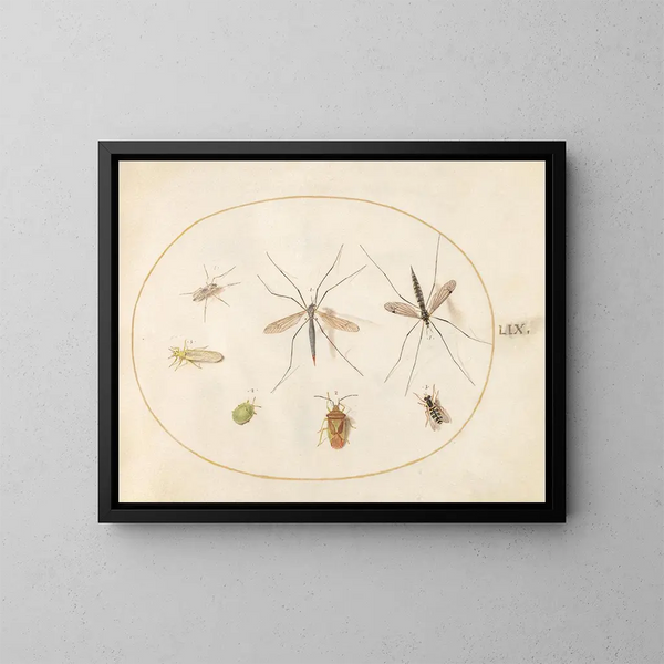 Platine 59 Sept insekter, inklusive en insekts-sköld av häggen, flugor och en blomfluga - Joris Hoefnagel — inramlat konstverk på väggen