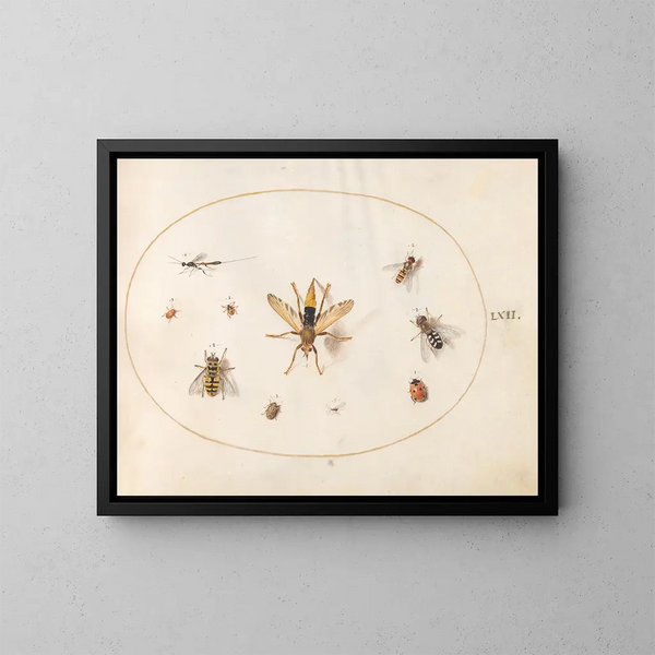Platine 62 Dix insekter - Joris Hoefnagel — inramlat konstverk på väggen