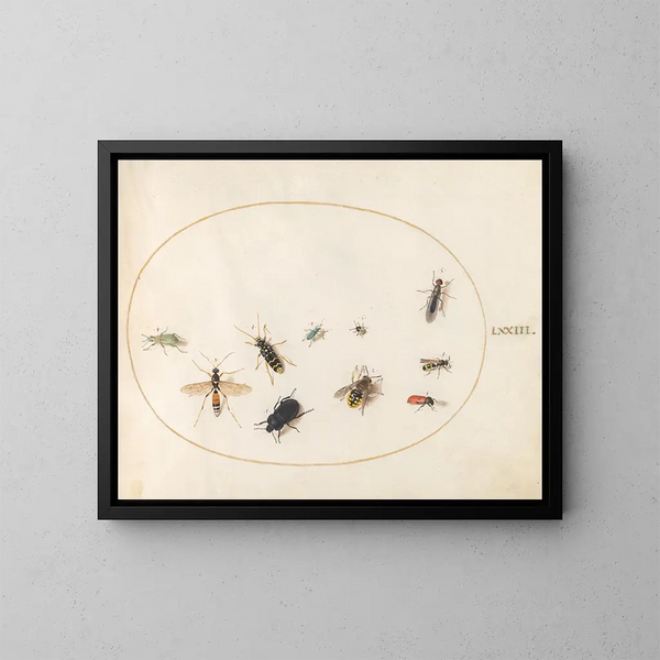 Platine 73 Dix insectes - Joris Hoefnagel — inramlat konstverk på väggen