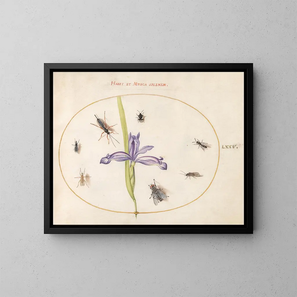 Platine 75 En fluga och andra insekter med ett iris - Joris Hoefnagel — inramlat konstverk på väggen