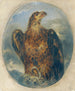 Adler - Joseph Hasslwander — vy av konstverket