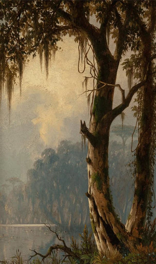 Joseph Rusling Meeker - Louisiana Landscape.webp