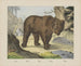 Ours - Joseph Scholz — vy av konstverket