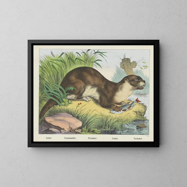 Loutre de rivière - Joseph Scholz — inramlat konstverk på väggen