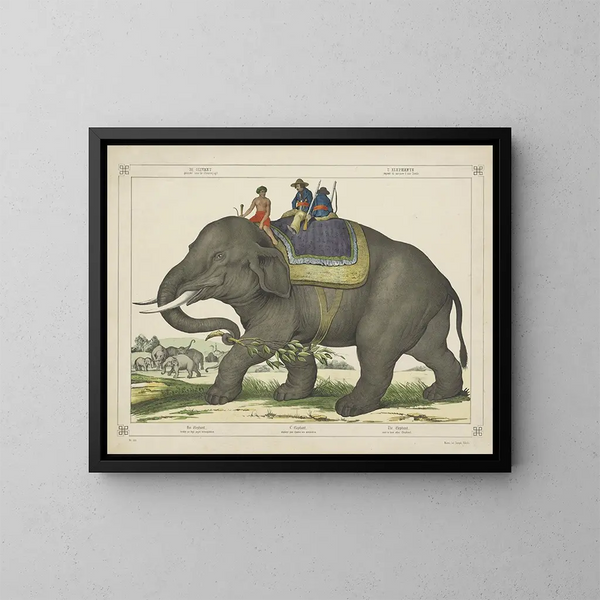 L'éléphant chassait d'autres éléphants - Joseph Scholz — inramlat konstverk på väggen