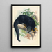 Le Binturong - Joseph Wolf — inramlat konstverk på väggen