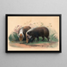 Le sanglier - Joseph Wolf — inramlat konstverk på väggen