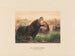 L'Hippopotame - Joseph Wolf — vy av konstverket