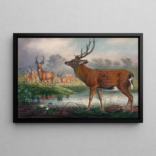 Joseph Wolf - The Mantchurian Deer.webp