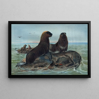 Joseph Wolf - The Sea Bear.webp