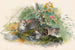 Le chat Wagati - Joseph Wolf — vy av konstverket