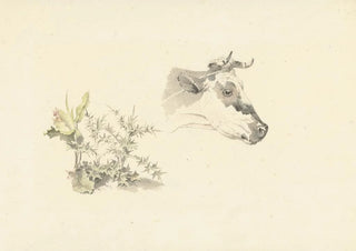 Josephus Augustus Knip - Kop van een koe en twee planten.webp