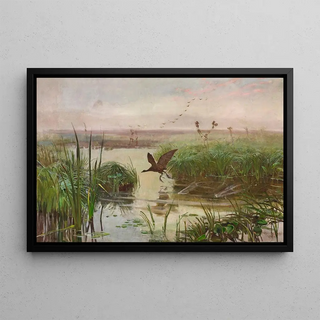 Jozef Chelmonski - Common moorhen.webp