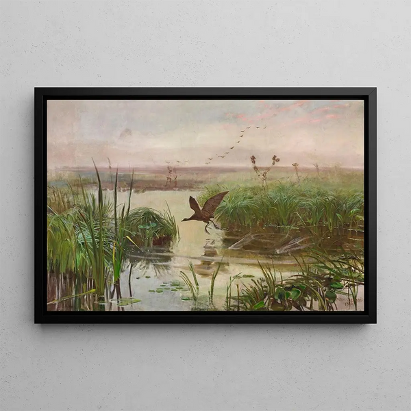 Jozef Chelmonski - Common moorhen.webp