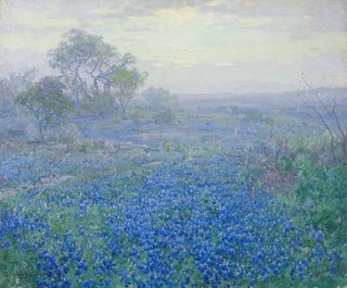 Julian Onderdonk - A Cloudy Day Bluebonnets near San Antonio Texas.webp