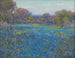 En fält av bluebonnets under eftermiddagens solsken - Julian Onderdonk — vy av konstverket
