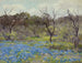 tidig vår, blåklint och mesquite - Julian Onderdonk — vy av konstverket