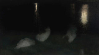 Jzef Pankiewicz - Nocturne Swans in the Saxon Garden in Warsaw at night Sleeping swans Swans at night.webp