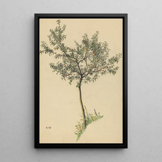 Karl Wiener - Ohne Titel Obstbaum.webp