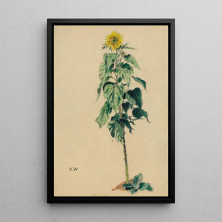 Karl Wiener - Sonnenblume.webp