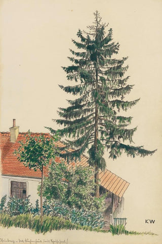 Karl Wiener - Steinberg.webp