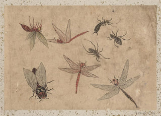 Katsushika Hokusai - Album of Sketches by Katsushika Hokusai and His Disciples Pl35.webp