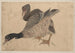 Album av skissbok av och hans lärjungar Pl. 37 - Katsushika Hokusai — vy av konstverket